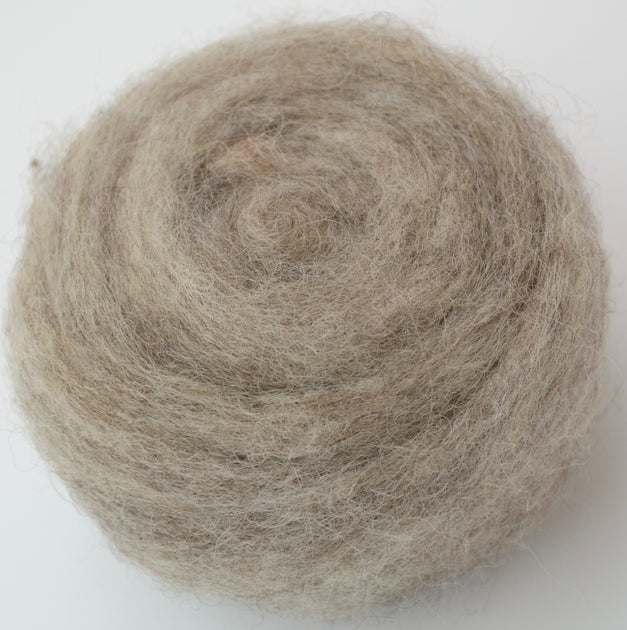 ENGLISH IVY- American Farm Wool - Medium Grade Wool Roving for Felting –  FeltLOOM